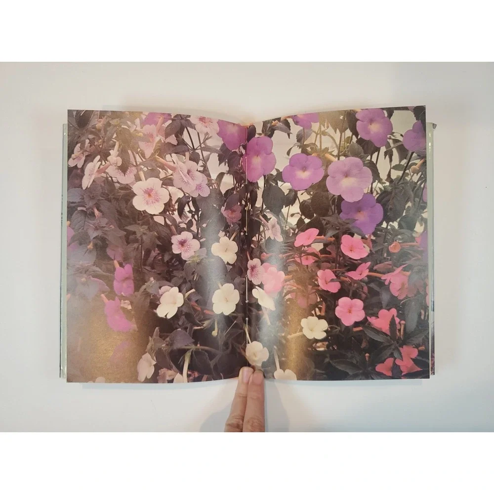 Indoor Plants Book Foliage & Flowering Houseplants Gardening Octopus Books
